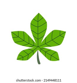 vector design, green leaf shape illustration