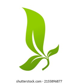 vector design, green plant shape illustration