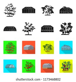 Vector design of greenhous and plant icon. Set of greenhous and garden vector icon for stock.