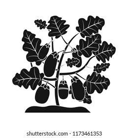 Vector design of greenhous and plant logo. Collection of greenhous and garden vector icon for stock.
