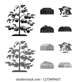 Vector design of greenhous and plant logo. Collection of greenhous and garden stock vector illustration.