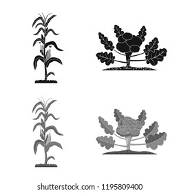 Vector design of greenhouse and plant icon. Set of greenhouse and garden stock vector illustration.