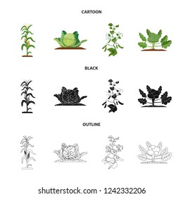 Vector design of greenhouse and plant icon. Set of greenhouse and garden stock vector illustration.