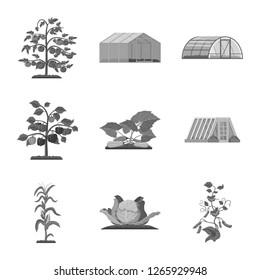 Vector design of greenhouse and plant icon. Set of greenhouse and garden stock vector illustration.