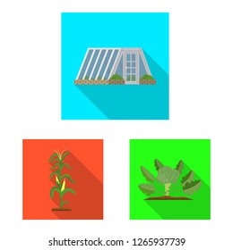 Vector design of greenhouse and plant icon. Set of greenhouse and garden vector icon for stock.