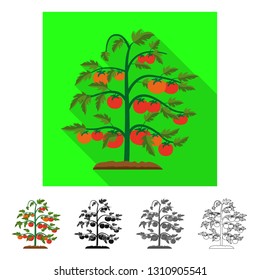 Vector design of greenhouse and plant icon. Set of greenhouse and garden stock vector illustration.