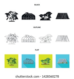 Vector design of greenhouse and plant icon. Collection of greenhouse and garden vector icon for stock.