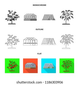 Vector design of greenhouse and plant logo. Set of greenhouse and garden stock symbol for web.
