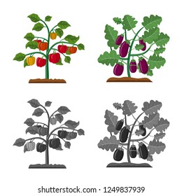 Vector design of greenhouse and plant logo. Set of greenhouse and garden stock symbol for web.