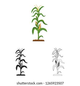 Vector design of greenhouse and plant logo. Collection of greenhouse and garden vector icon for stock.
