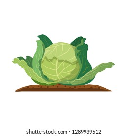 Vector design of greenhouse and plant logo. Collection of greenhouse and garden vector icon for stock.