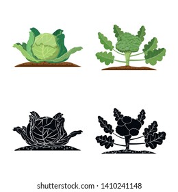 Vector design of greenhouse and plant logo. Set of greenhouse and garden vector icon for stock.