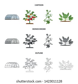 Vector design of greenhouse and plant logo. Collection of greenhouse and garden vector icon for stock.