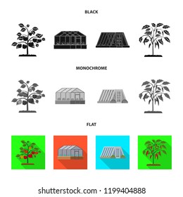 Vector design of greenhouse and plant sign. Collection of greenhouse and garden stock vector illustration.
