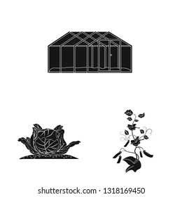 Vector design of greenhouse and plant sign. Set of greenhouse and garden vector icon for stock.