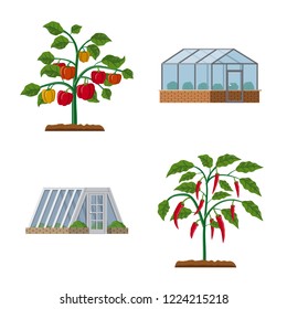 Vector design of greenhouse and plant symbol. Collection of greenhouse and garden vector icon for stock.