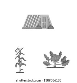 Vector design of greenhouse and plant symbol. Collection of greenhouse and garden stock symbol for web.