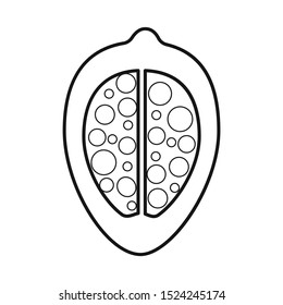 Vector design of groundnut and seed symbol. Graphic of groundnut and vitamins vector icon for stock.