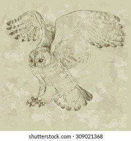 Vector design. Grunge background. Illustration. Hand drawing of a flying owl.