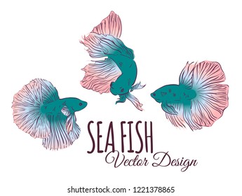  Vector design with hand drawn betta splendens fish, siames fighting fish . Sea wallpaper. Cartoon underwater elements for your sea design.