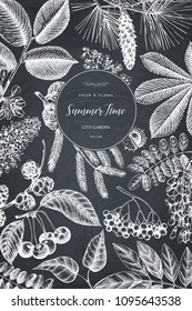 Vector design with hand drawn branch, leaves, seeds, cones, fruits sketch. Vintage frame with botanical elements. Retro template with Garden trees and dragonfly illustrations
