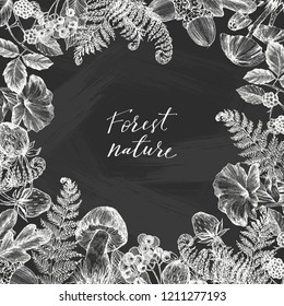 Vector design with hand drawn branch, leaves, mushrooms, fern, berries. Vintage frame with botanical elements on chalkboard. Retro template. Forest plants illustration