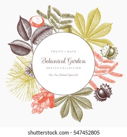 Vector design with hand drawn branch, leaves, fruits sketch. Vintage frame with botanical elements. Retro template. Autumn decor elements. garden trees illustration