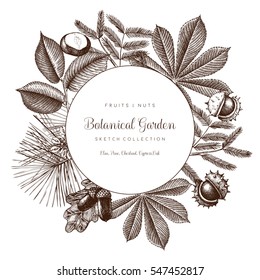 Vector design with hand drawn branch, leaves, fruits sketch. Vintage frame with botanical elements. Retro template. Autumn decor elements. garden trees illustration