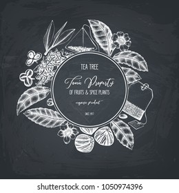 Vector design with hand drawn Chinese tea tree illustration. Decorative inking background with Camellia sinensis in flowers and leaves. Tonic plants vintage template on chalkboard.