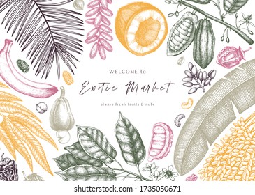 Diseño vectorial con frutos exóticos dibujados a mano y nueces. Marco vintage con dátiles, plátano, cacao, coco, hojas de anacardos, frutas y nueces. Plantilla retro con elementos de comida de verano. Marco de mercado exótico.