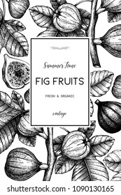 Vector design with hand drawn figs sketch. Vinatge frame with botanical illustration of fig fruit branch. Retro template with summer elements.