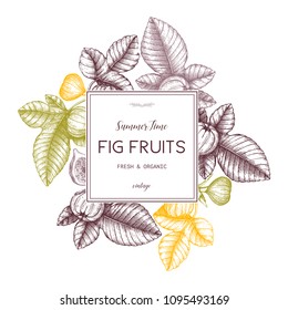 Vector design with hand drawn figs sketch. Vinatge frame with botanical illustration of fig fruit branch. Retro template with summer elements.