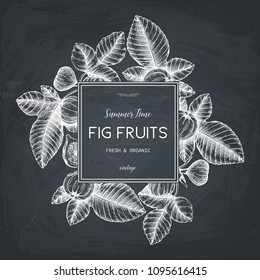 Vector design with hand drawn figs sketch. Vinatge frame with botanical illustration of fig fruit branch. Retro template with summer elements on chalkboard