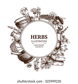 Vector design with hand drawn herbs and cosmetics illustration isolated on white. Organic plants sketch background. Natural cosmetics ingredients. Vintage template