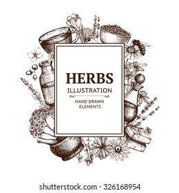 Vector design with hand drawn herbs and cosmetics illustration isolated on white. Organic plants sketch background. Natural cosmetics ingredients. Vintage template