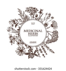 Vector design with hand drawn  herbs. Decorative background with vintage medicinal herbs sketch. 