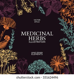 Vector design with hand drawn herbs. Vintage colorful background with medicinal herbs sketch. Vector template.