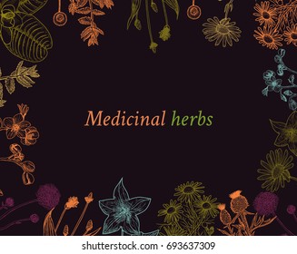 Vector design with hand drawn herbs. Decorative background with vintage medicinal herbs sketch frame on black.
