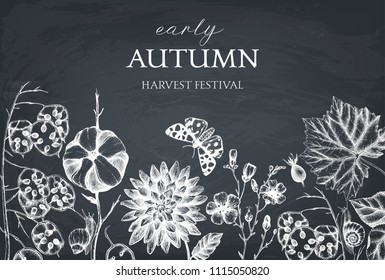 Vector design with hand drawn leaves, flowers, snails, butterflies, and seeds sketches. Autumn nature background. Vintage farm life illustration on chalkboard