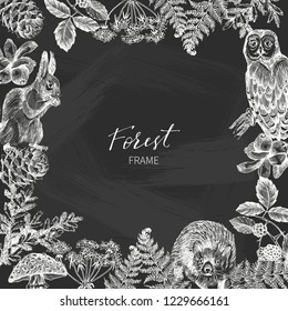 Vector design with hand drawn leaves, fir branch, fern, berries, owl, squirrel hedgehog. Vintage frame with botanical elements on chalkboard. Retro template. Forest plants illustration