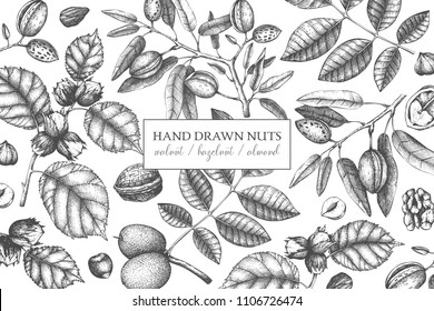 Vector design with hand drawn nuts. Vintage hazelnut, walnut, almond illustrations. Engraved style organic food background. Menu, branding, packing, cards template.
