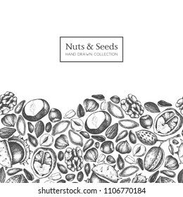 Vector design with hand drawn nuts and seeds sketches. Hazelnut, walnut, pine nut, chestnut, sunflower, flax and pimpkin seeds drawing. Organic food template.