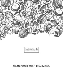 Vector design with hand drawn nuts and seeds sketches. Hazelnut, walnut, pine nut, chestnut, sunflower, flax and pimpkin seeds drawing. Organic food template.
