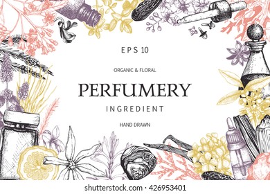 Vector design with hand drawn perfumery and cosmetics ingredients. Decorative background with vintage aromatic plants for perfumery