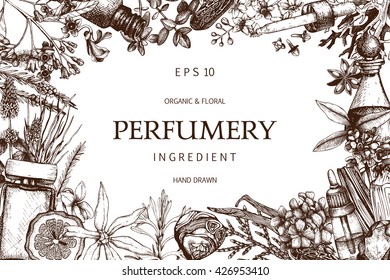 Vektordesign mit handgezeichneten Parfüm- und Kosmetikzutaten. Dekorativer Hintergrund mit aromatischen Vintage-Pflanzen für Parfums