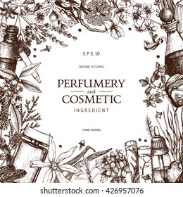 Vector design with hand drawn perfumery and cosmetics materials - flowers, fruits, herbs and oils. Decorative background with vintage aromatic plants isolated on white