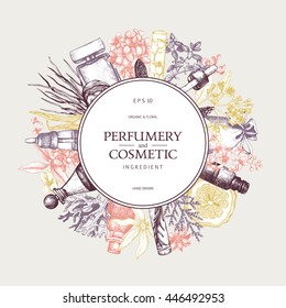 Vector design with hand drawn perfumery and cosmetics ingredients. Decorative background with vintage aromatic plants for perfume and spa