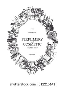 Vector design with hand drawn perfumery and cosmetics ingredients. Decorative background with vintage aromatic plants sketch. 