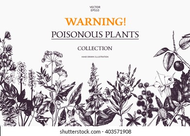 Vector design with hand drawn poisonous plants. Botanical illustration. Vintage noxious plants sketch background. Dangerous flowers retro template isolated on white.