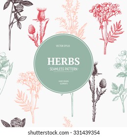 Vector design with hand drawn spices and herbs. Decorative pastel background with vintage medicinal herbs sketch. Herbal seamless pattern